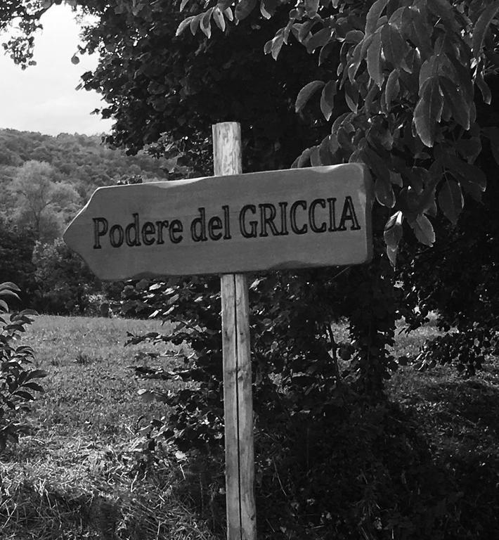 Podere Del Griccia Civitella in Val di Chiana Ngoại thất bức ảnh
